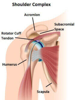 Shoulder Impingement Syndrome: Symptoms, Causes & Treatment