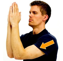 https://www.shoulder-pain-explained.com/images/middle-trapezius-stretches.jpg
