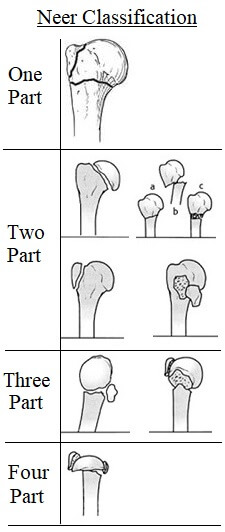 a (1) Total length of the humerus; (4) height of head of the