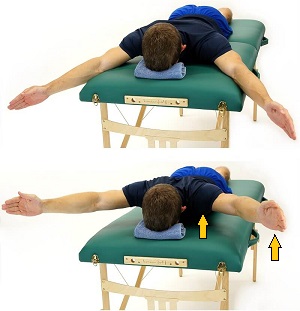 Back Exercises  Prone Scapular (Shoulder) Stabilization Series