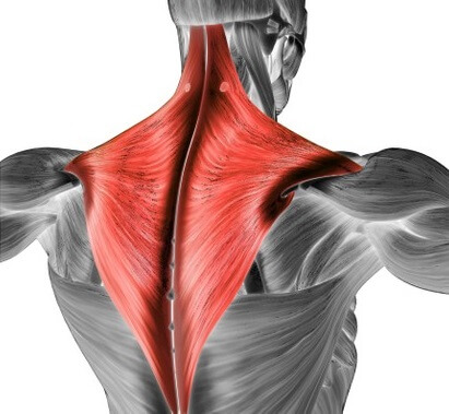 Upper Back Pain Treatment  Pulled Trapezius Muscle Treatment